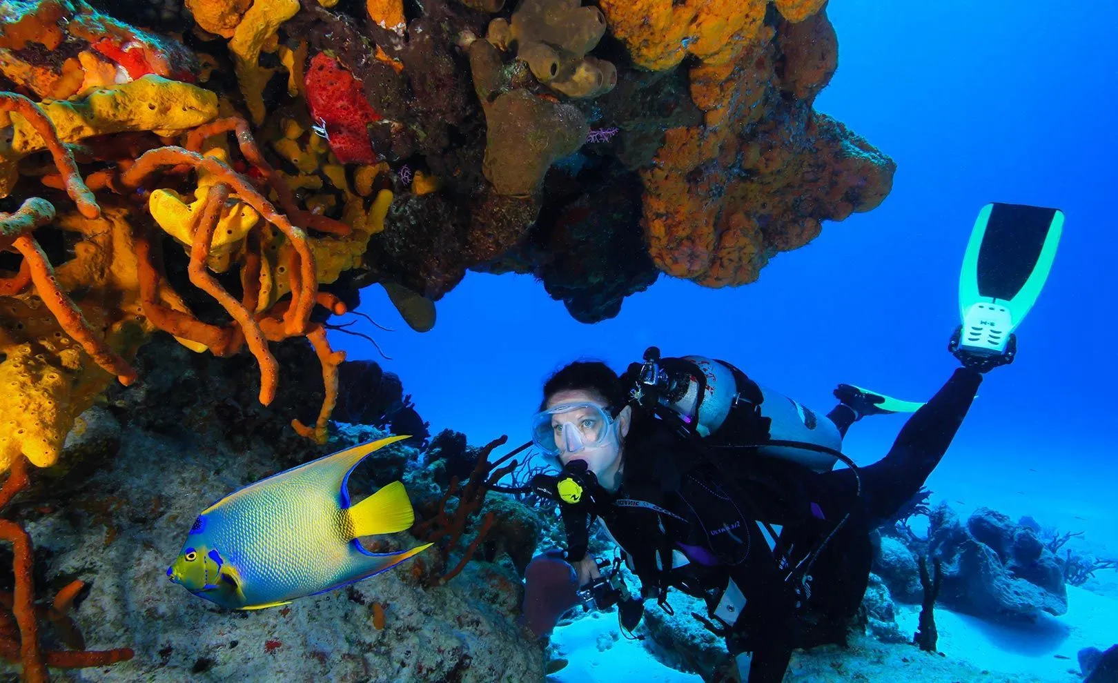 Discover The Experience Of Cozumel Cozumel Palace